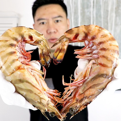 🦐 Colossal Deep-Sea Black Tiger Prawns