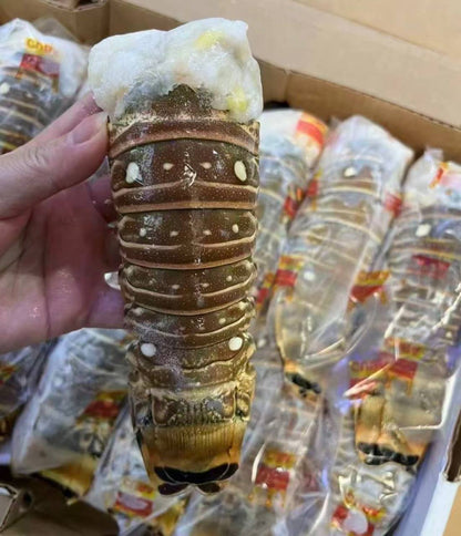 Wild-Caught Brazilian Lobster Tail (250g) | Only 100 Servings Daily | Best Value in SG
