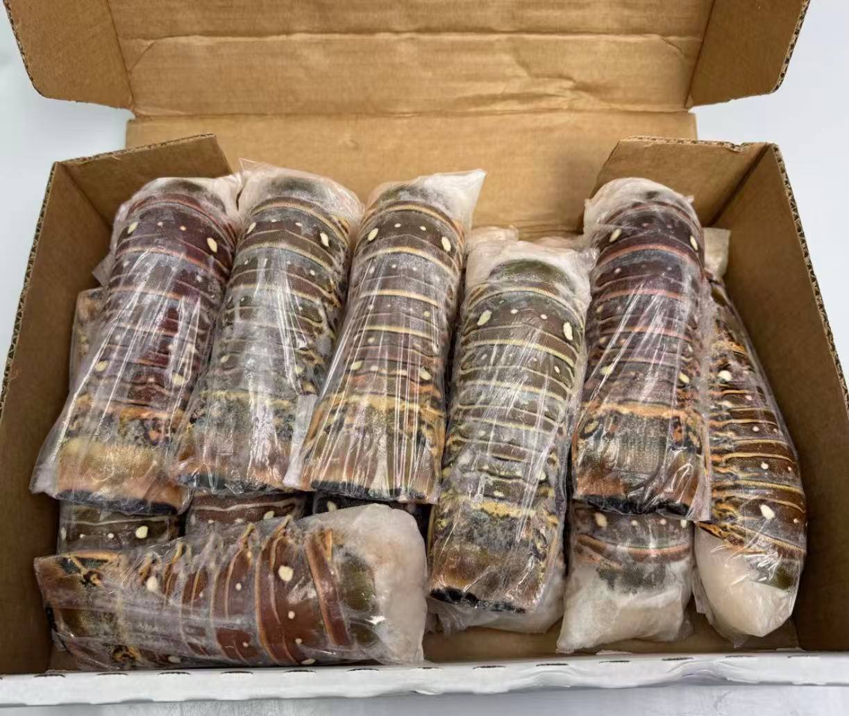 Wild-Caught Brazilian Lobster Tail (250g) | Only 100 Servings Daily | Best Value in SG